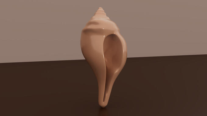 Sea Snail